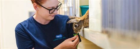 rspca east grinstead|Your local RSPCA rescue centre.